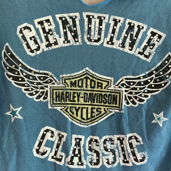 Harley-Davidson Black and Blue Graphic Raglan Tee - Picture 3 of 5